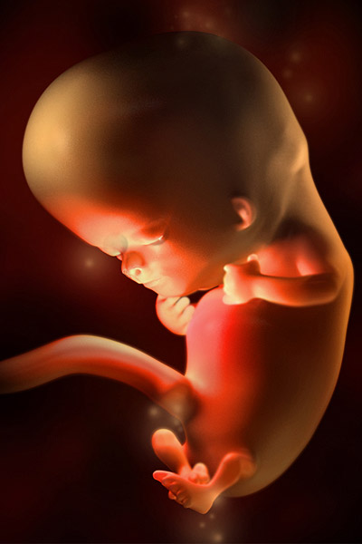 10 неделя беременности от зачатия: УЗИ плода, фото живота, что происходит с мамой и малышом